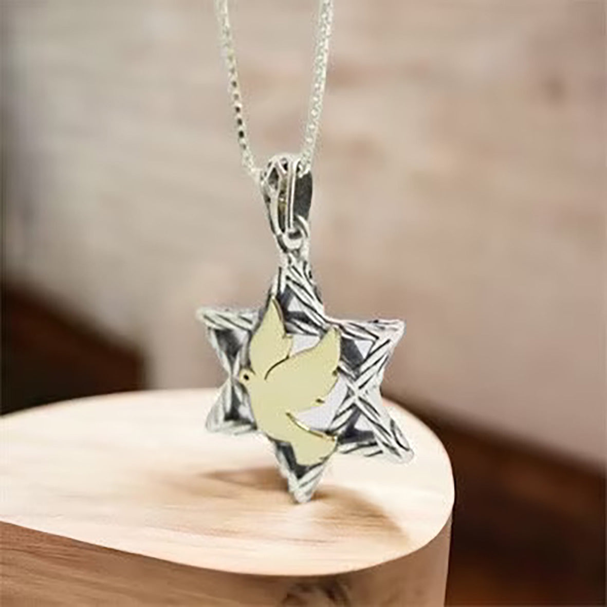 Star of David Necklace in Silver & 9K Gold | Israel Jewelry Holy Land - Dove of Peace Pendant | Love Israel Necklace | Black Friday Sale