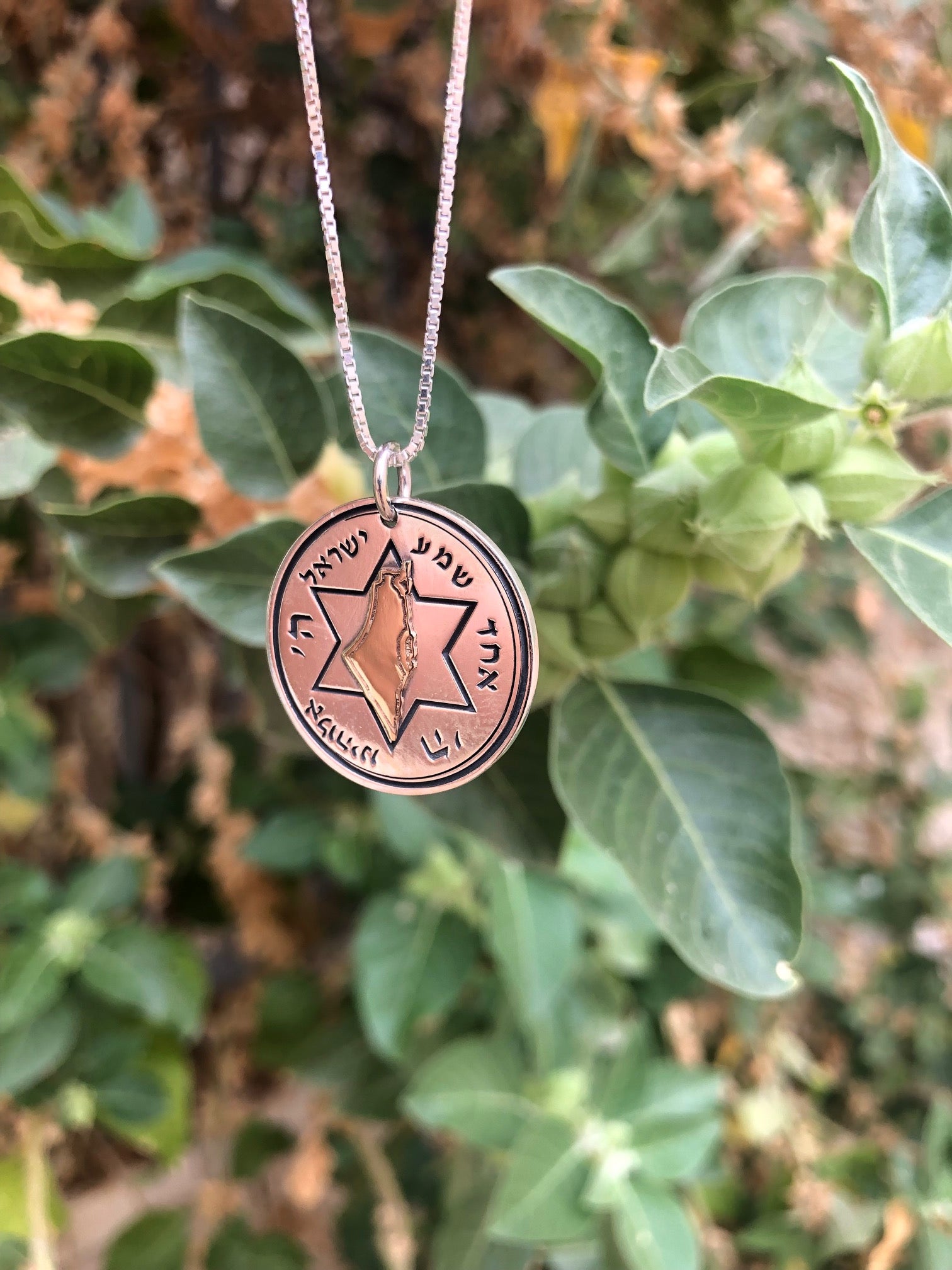 9K Gold and Sterling Silver Map of Israel with Shema Israel and Star Of David | Stand With Israel Jewelry | Journey Blessing Necklace
