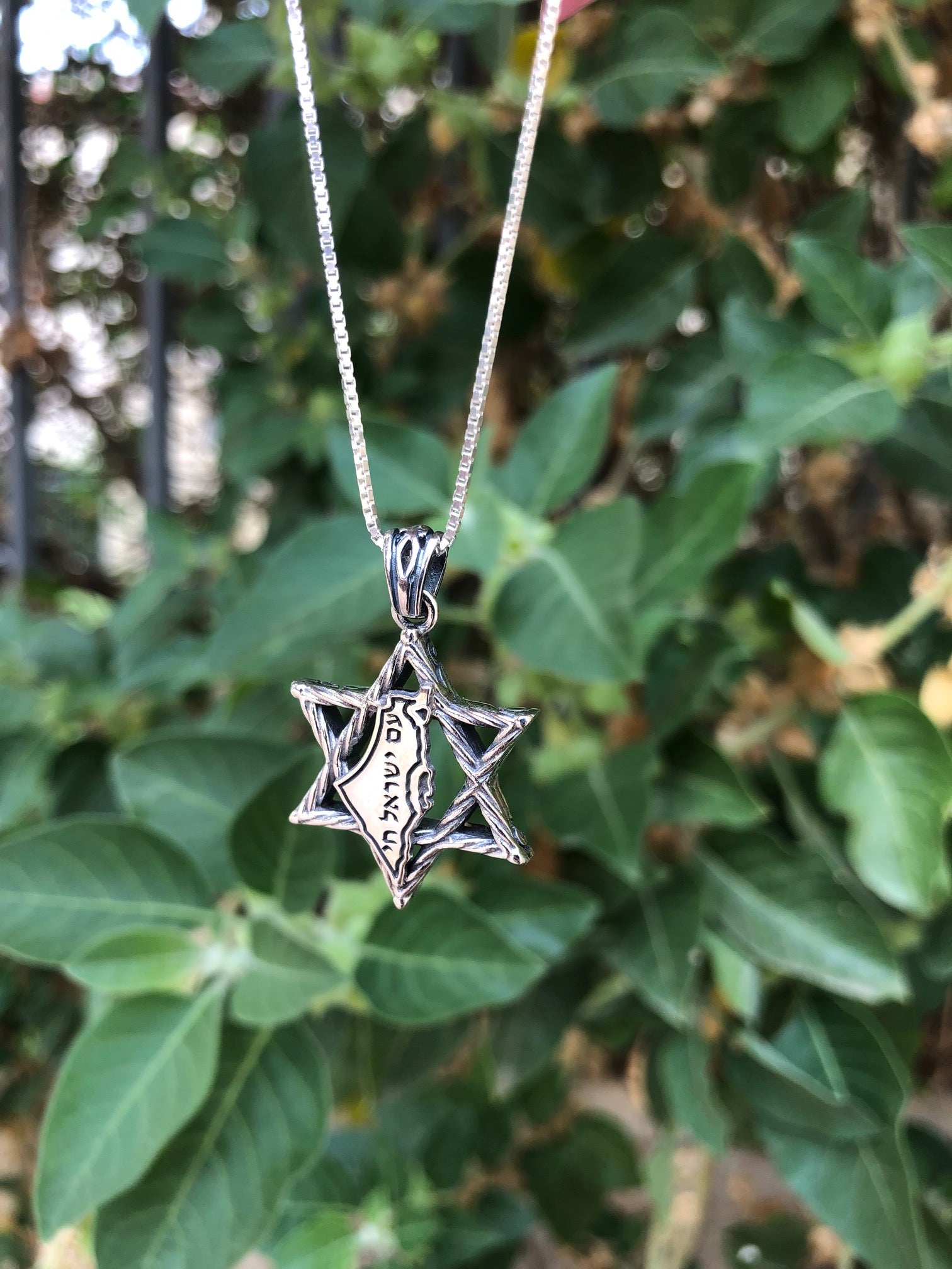Star of David Necklace in Silver| Israel Jewelry Holy Land - Map of Israel Design | עם ישראל חי | Am Yisrael Chai | Israeli Gift Necklace