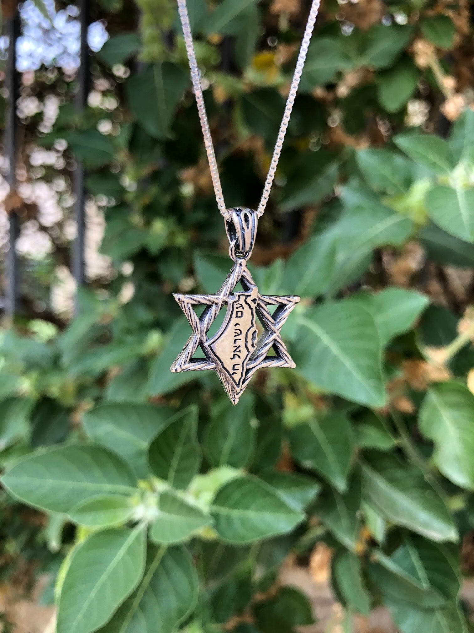 Star of David Necklace in Silver| Israel Jewelry Holy Land - Map of Israel Design | עם ישראל חי | Am Yisrael Chai | Israeli Gift Necklace
