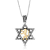 925 Sterling Silver Star of David with 9K Gold Lion of Judah Pendant, men Sterling Silver necklace, jewish jewelry